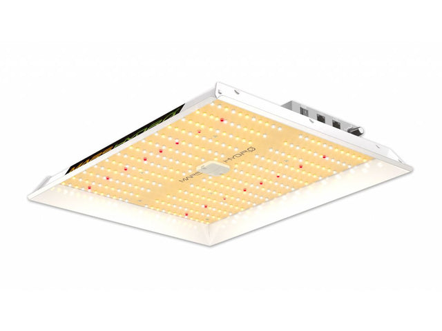 Mars Hydro TS1000 LED Grow Light Review