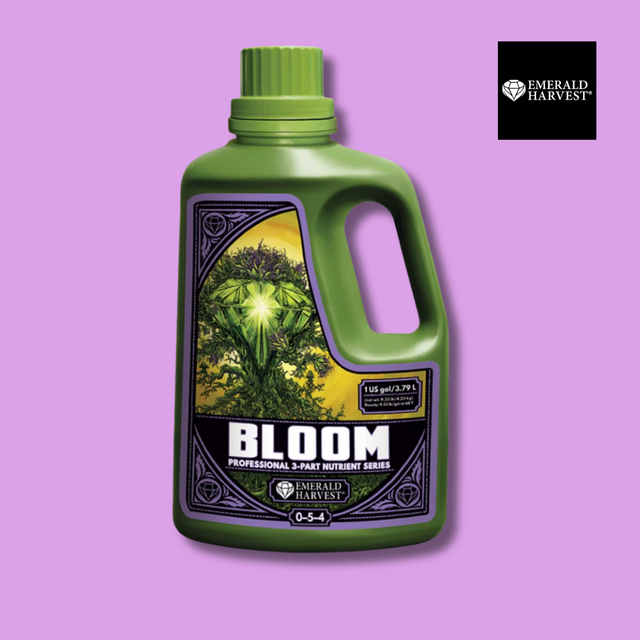 Emerald Harvest - Bloom