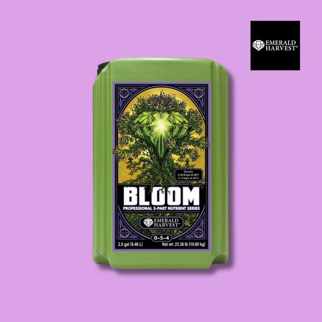 Emerald Harvest - Bloom
