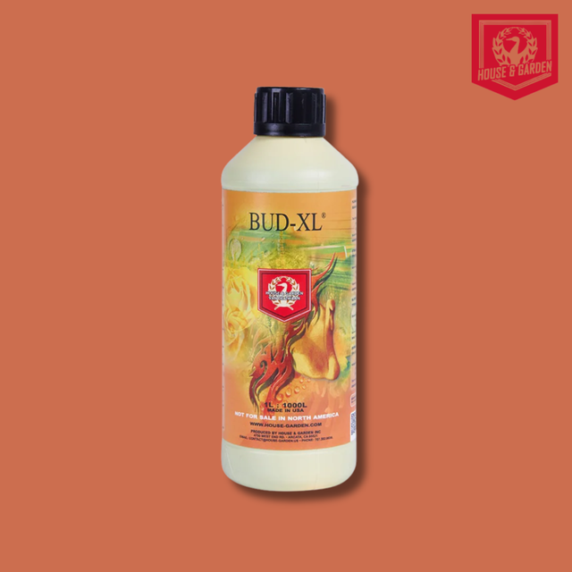 House & Garden - Bud XL