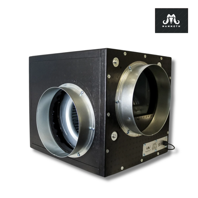 Mammoth Acoustic Foam Box Fan