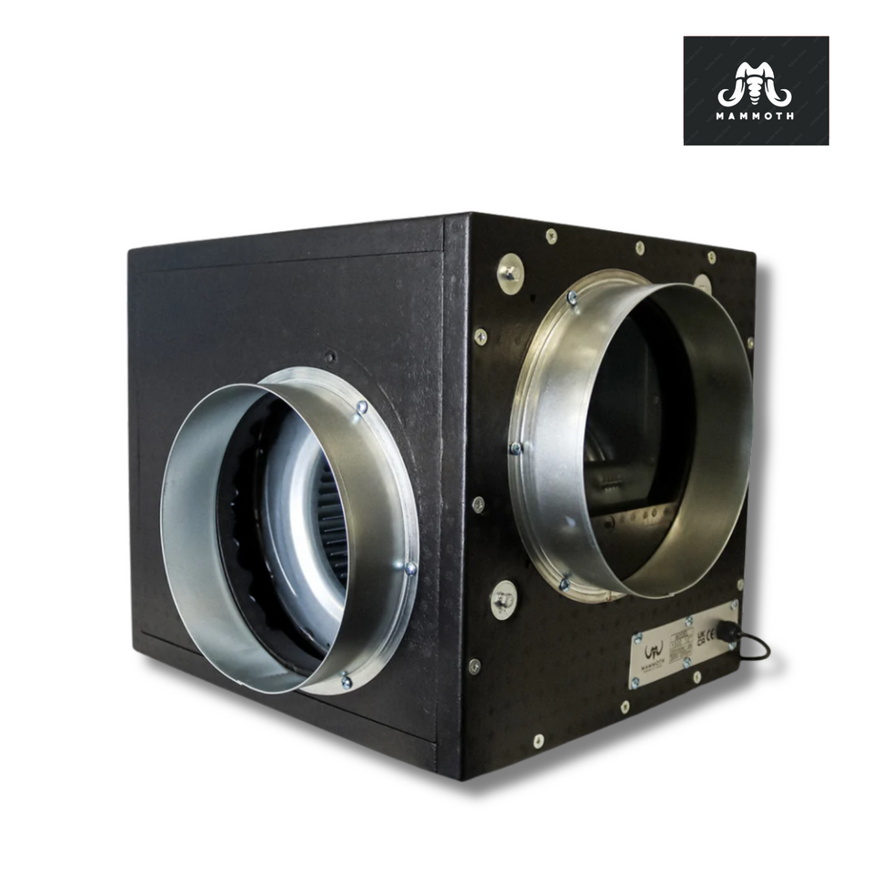 Mammoth Acoustic Foam Box Fan