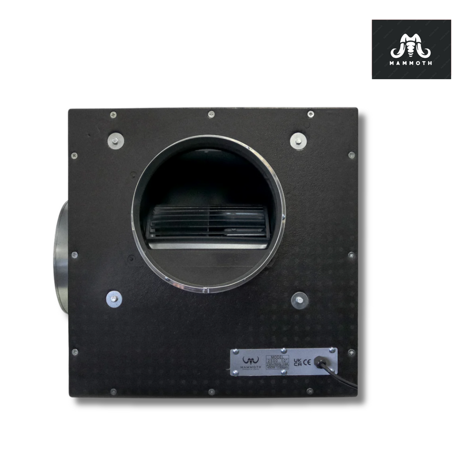 Mammoth Acoustic Foam Box Fan