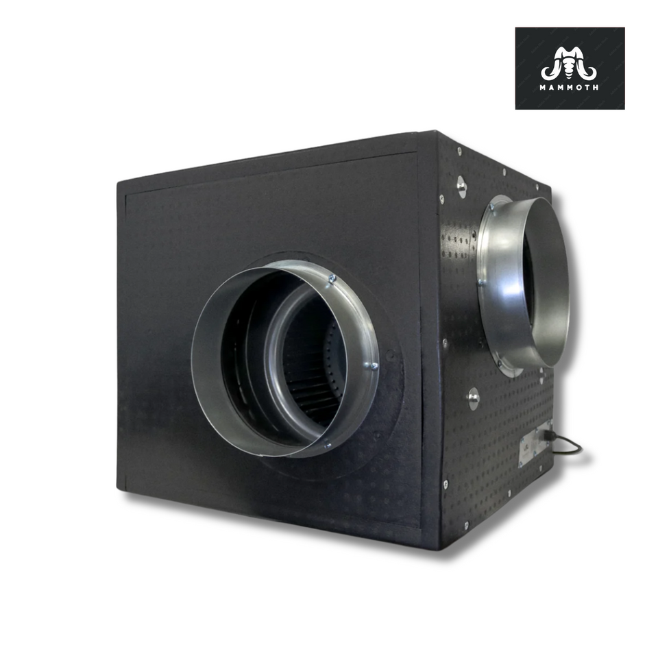 Mammoth Acoustic Foam Box Fan