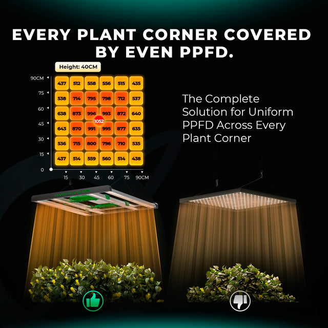 Mars Hydro FC3000 EVO LED Grow Light (iConnect Edition) Even PPFD