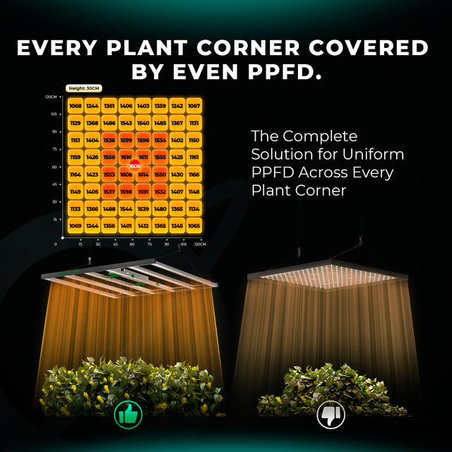 The Mars Hydro FC8000 EVO LED Grow Light PPFD Map