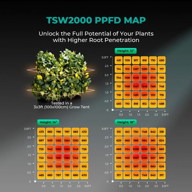 Mars Hydro TSW2000 LED Grow Light PPFD Map