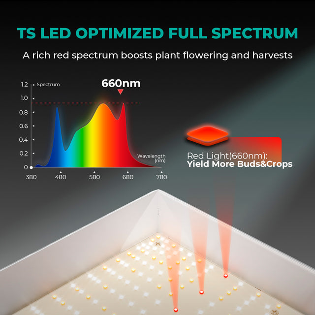 Mars Hydro TSW2000 LED Grow Light Full Spectrum