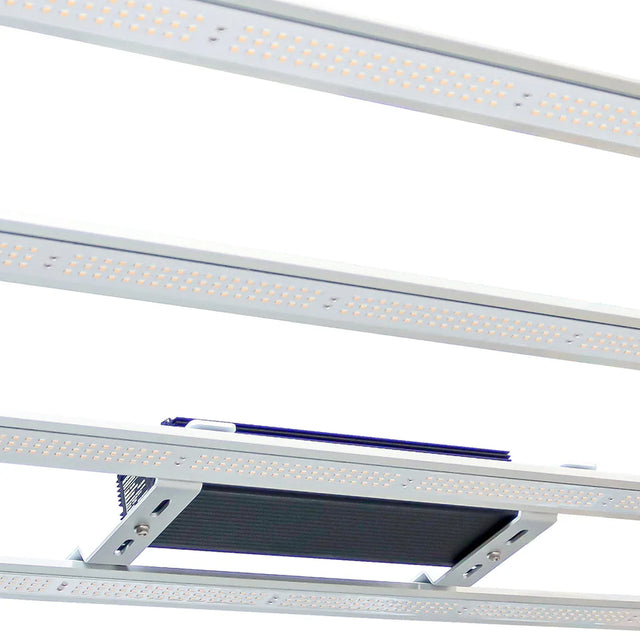 Omega Black 720w Grow Tent Kit Diodes