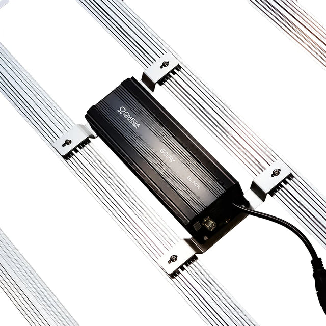 Omega Black 720w Grow Tent Kit Ballast