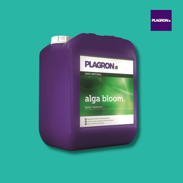 Plagron - Alga Bloom