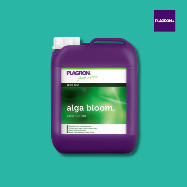 Plagron - Alga Bloom
