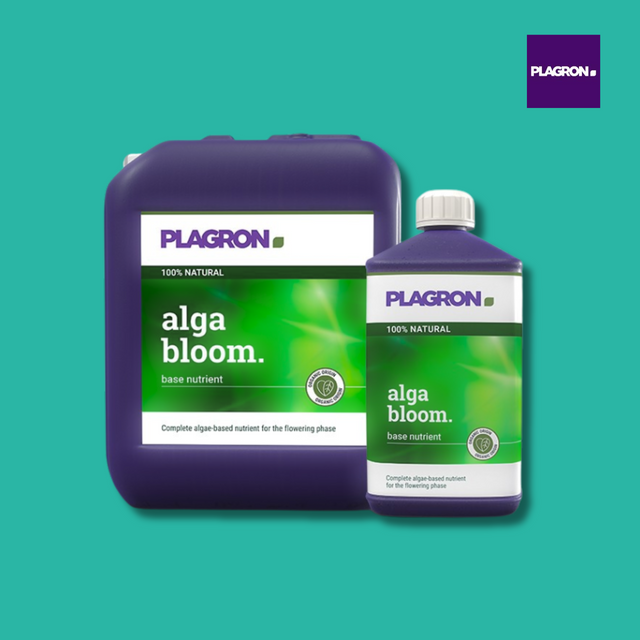 Plagron - Alga Bloom