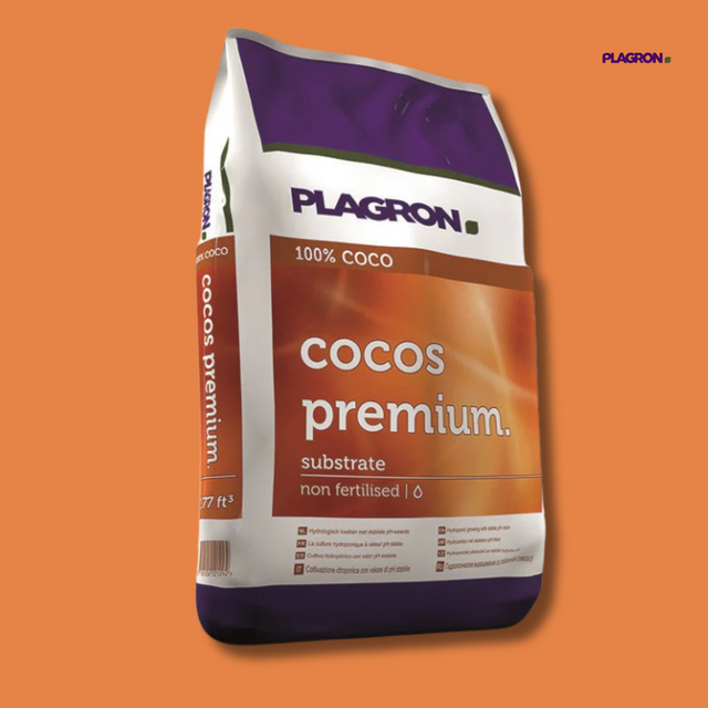 Plagron - Cocos Premium