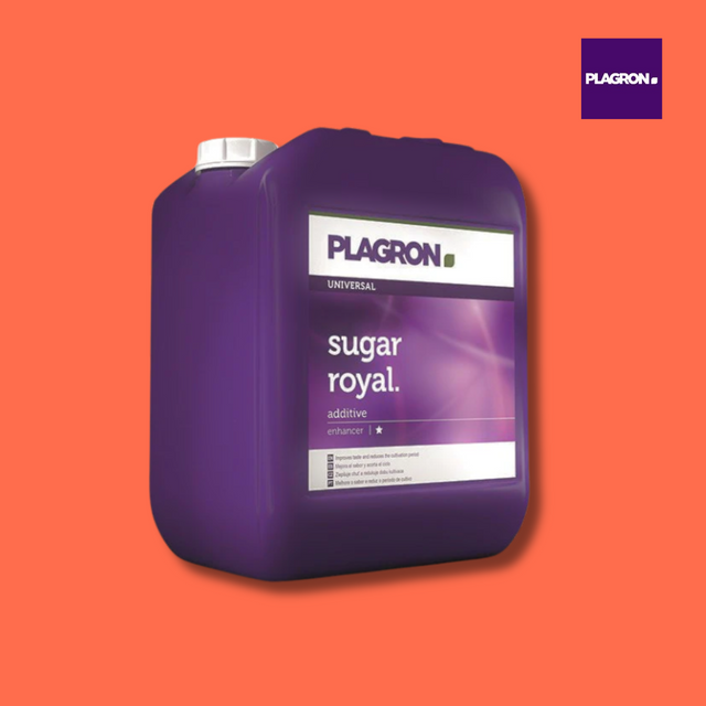 Purple container of Plagron Sugar Royal additive on an orange background