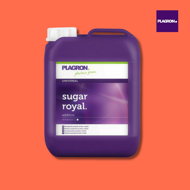 Purple Plagron sugar royal container on an orange background