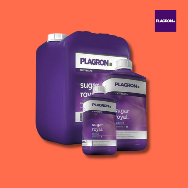 Plagron sugar royal fertilizer bottles on an orange background