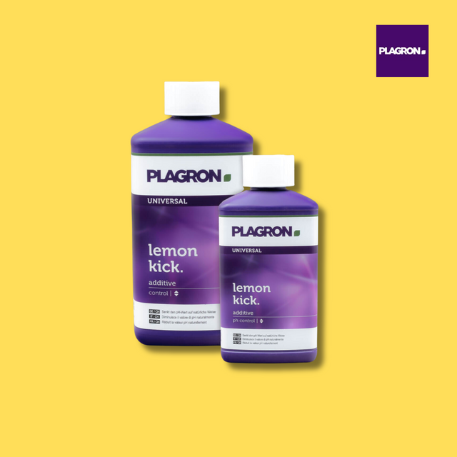 Plagron Lemon Kick
