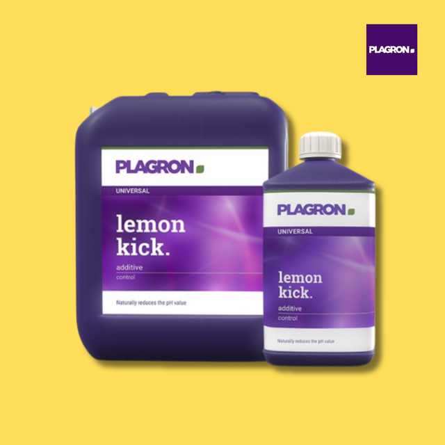 Plagron Lemon Kick