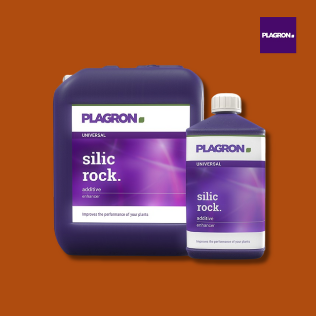 Plagron Silic Rock