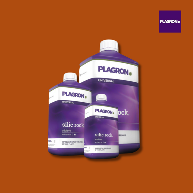 Plagron Silic Rock