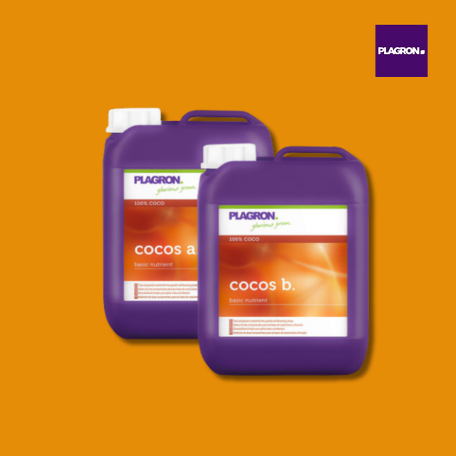 Two purple Plagron fertilizer containers labeled 'cocos a' and 'cocos b' on an orange background.