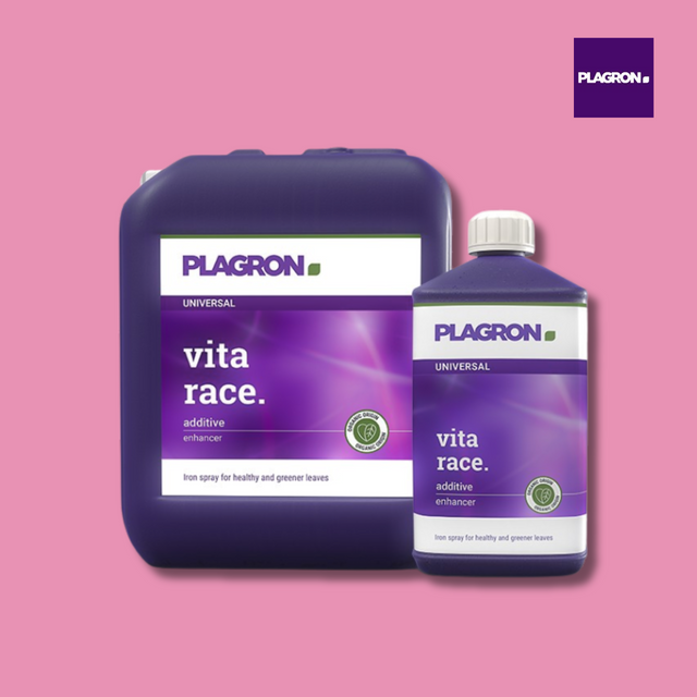 Plagron Vita Race