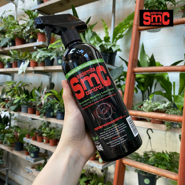 SMC Spider Mite Control