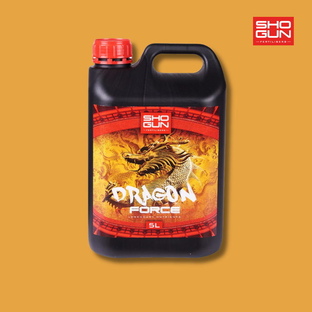 Shogun - Dragon Force