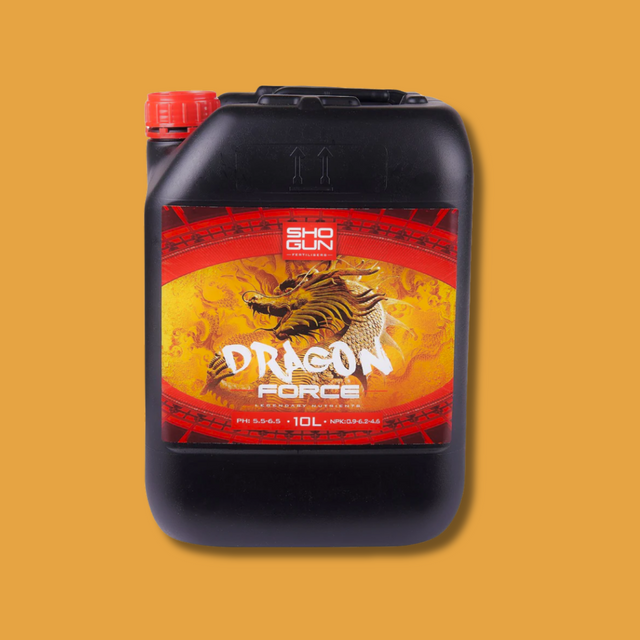 Black container with red and yellow label featuring a dragon design on a mustard yellow background