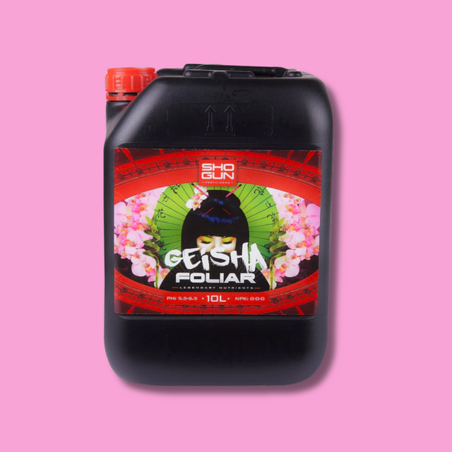 Shogun - Geisha Foliar