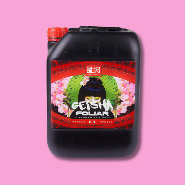 Shogun - Geisha Foliar