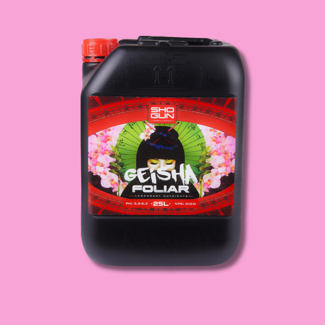 Shogun - Geisha Foliar