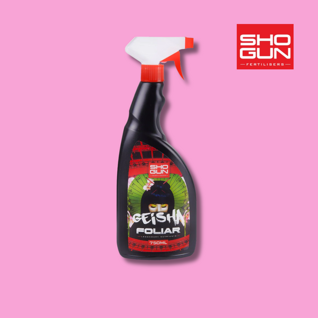 Shogun - Geisha Foliar