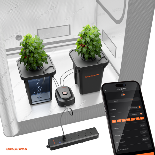 Spider Farmer DWC system with AC5 Smart Controller - 2 Plant System.