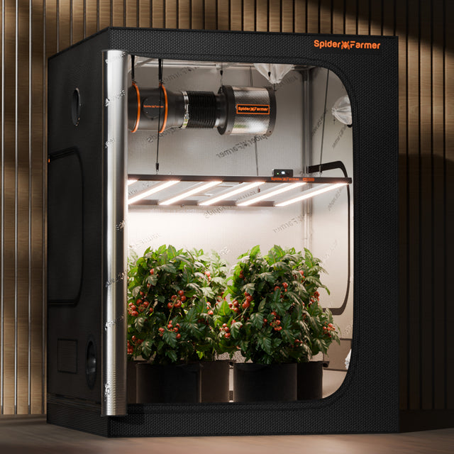 Spider Farmer G8600 LED Grow Light 800w In Grow Tent