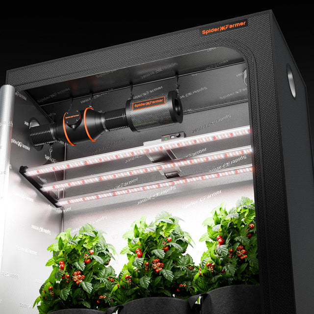 Spider Farmer SE4500 EVO LED Grow Light 320w For Grow Tent Use