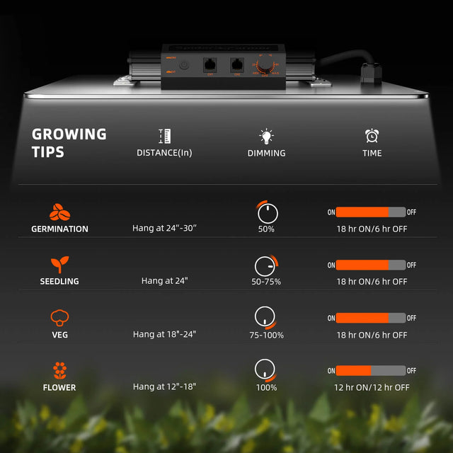 Spider Farmer SF1000 EVO LED Grow Light Growing Tips