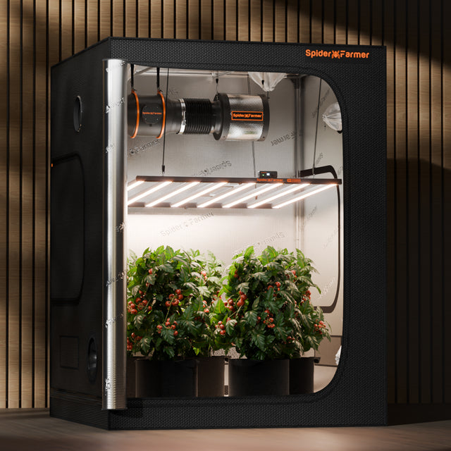 Spider Farmer G1000w LED Grow Light 1000w Grow Tent Set Up