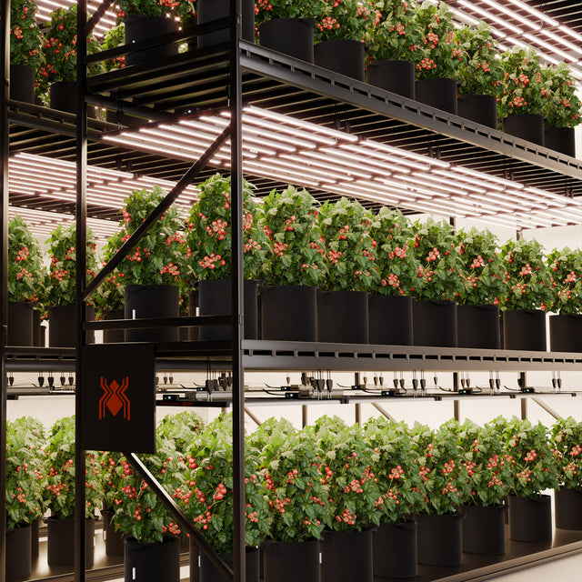 Spider Farmer G1000w LED Grow Light 1000w