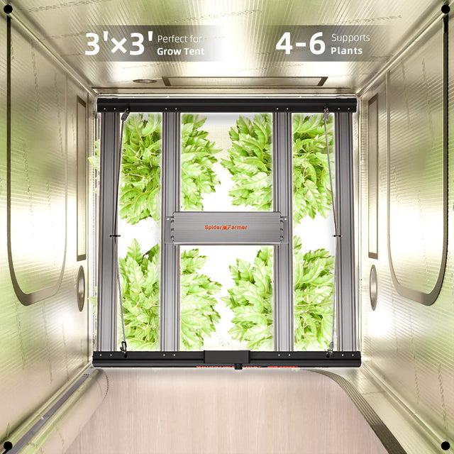 Spider Farmer G3000 LED Grow Light 300w For Grow Tent Use