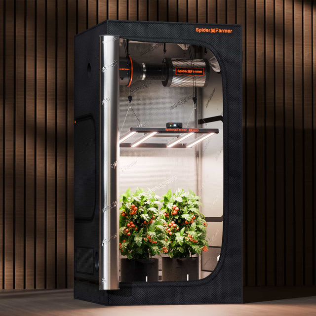 Spider Farmer G3000 LED Grow Light 300w Grow Tent Use