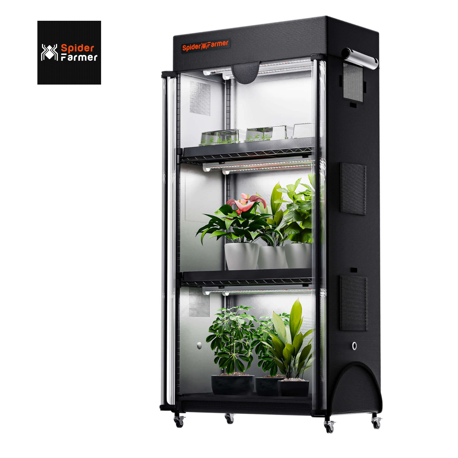 20+ Best Microgreen Grow Lights Spider Farmer 4 Tier Microgreen Plant Stand & Grow Lights