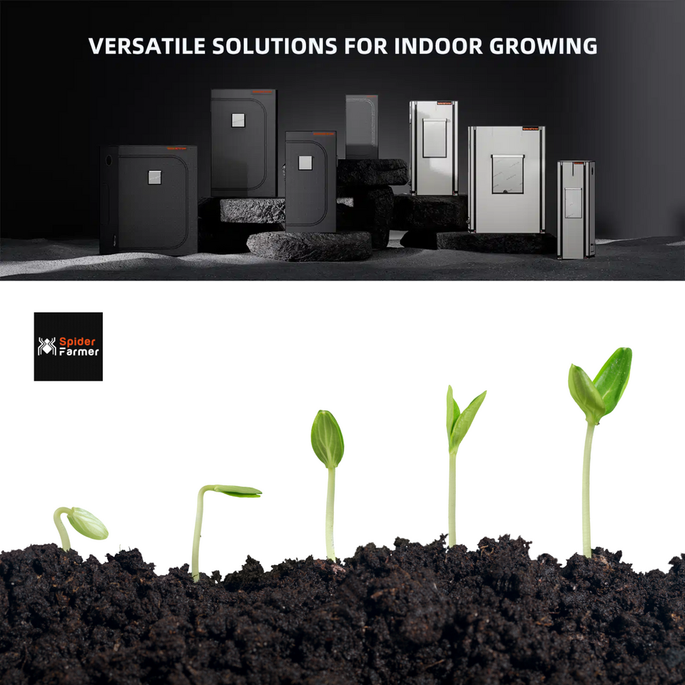 Spider Farmer 3 x 3 Grow Tent