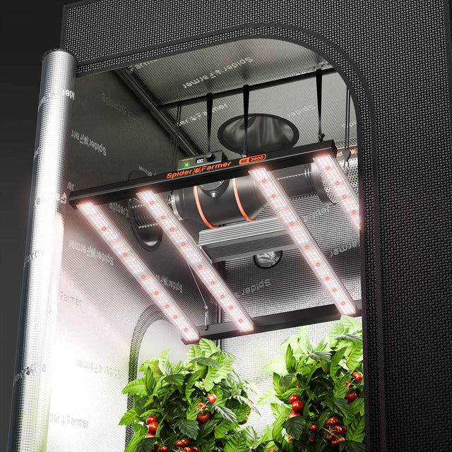 Complete Grow Tent Kit Spider Farmer SE3000 EVO