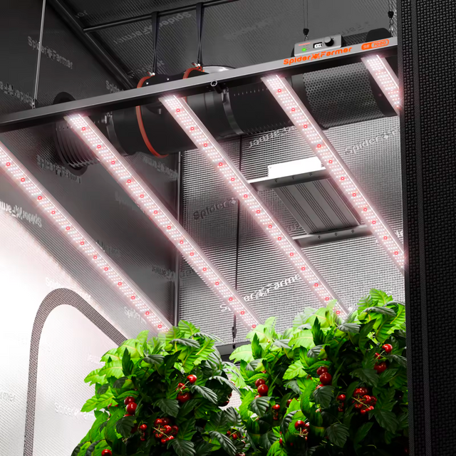 Spider Farmer SE7000 EVO LED Grow Light 730w Samsung LM301h EVO Diodes