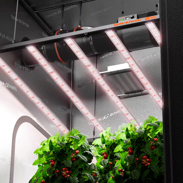 Spider Farmer SE7000 EVO Smart Grow Tent Kit