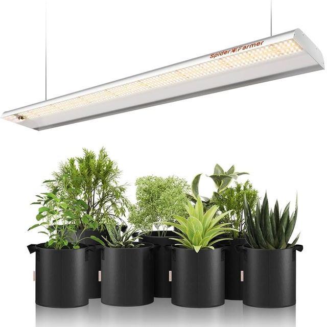 Spider Farmer SF600 LED Grow Light