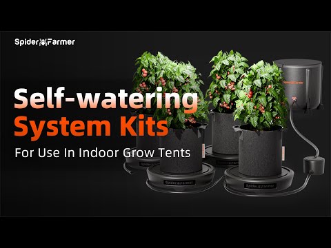 Spider Farmer Self Watering System - 4 Plant Set Up
