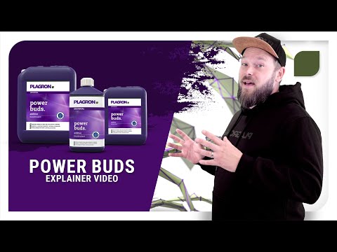 Plagron Power Buds